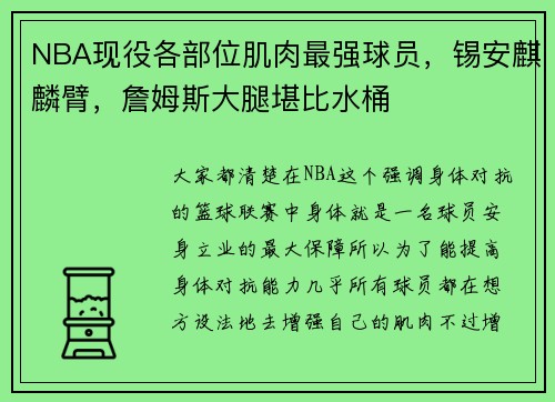 NBA现役各部位肌肉最强球员，锡安麒麟臂，詹姆斯大腿堪比水桶